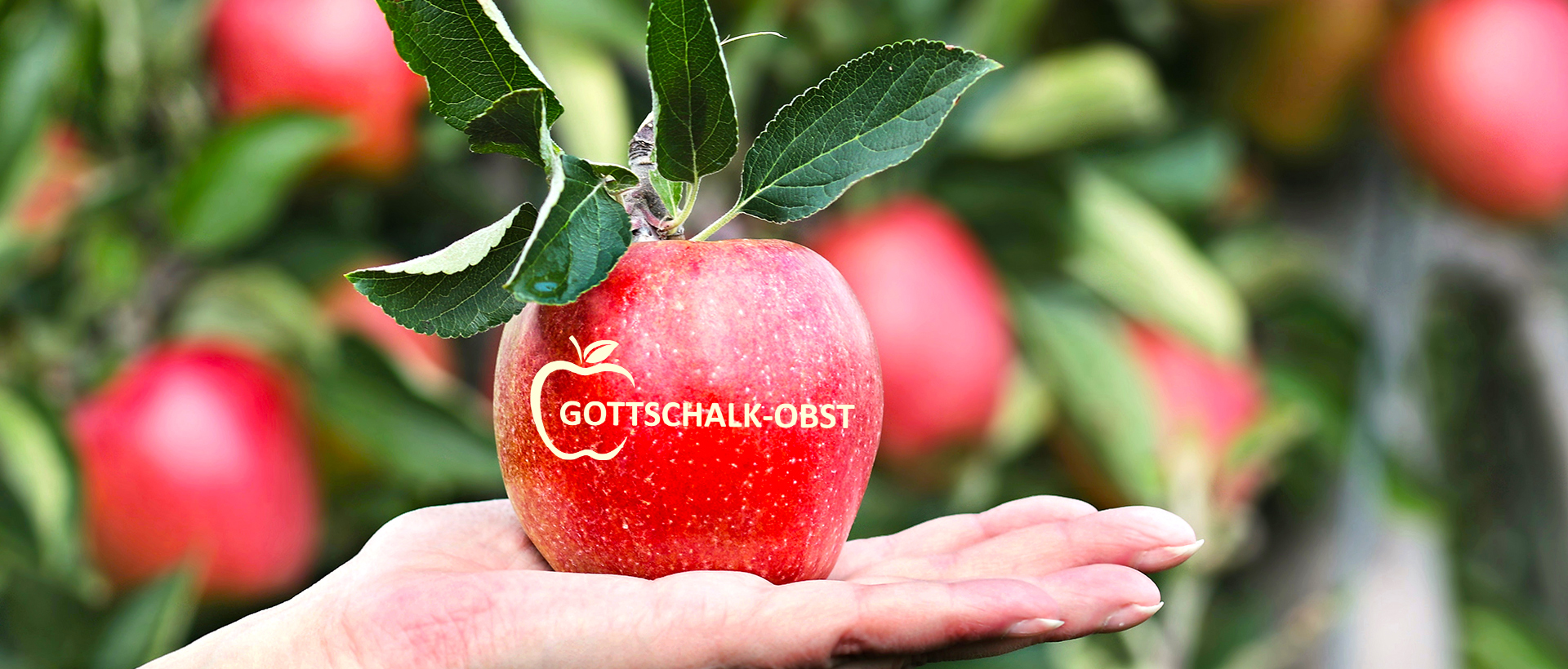 Gottschalk Obst